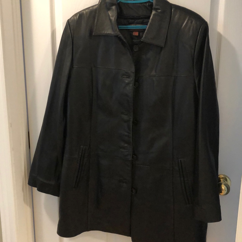 Danier Leather Car Coat